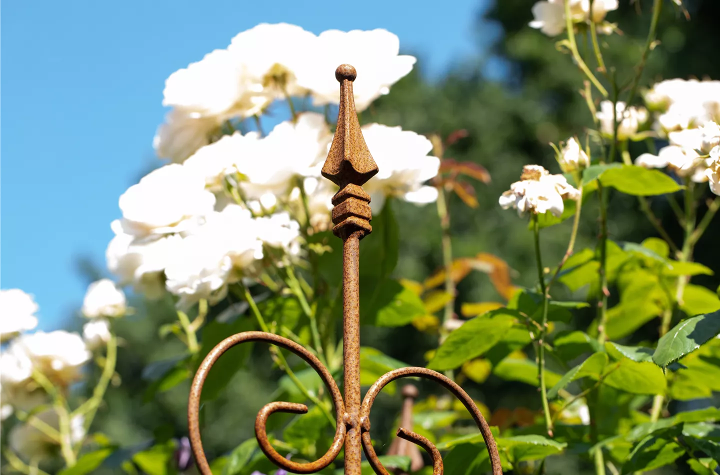 Gartendeko sorgt für Strukturen