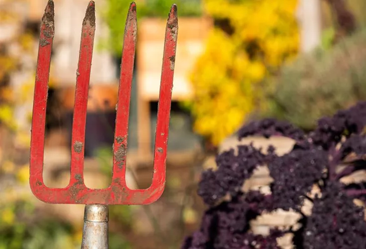 Grabegabeln kaufen und Garten gestalten